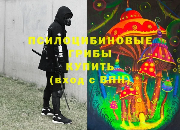 мяу мяу мука Баксан