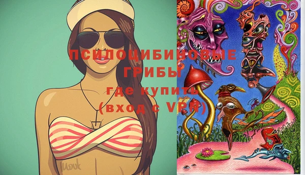 мяу мяу мука Баксан