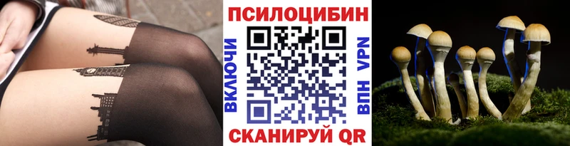Псилоцибиновые грибы Psilocybine cubensis  Белый 