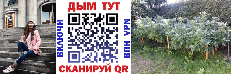 дарнет шоп  Белый  Бошки марихуана VHQ 